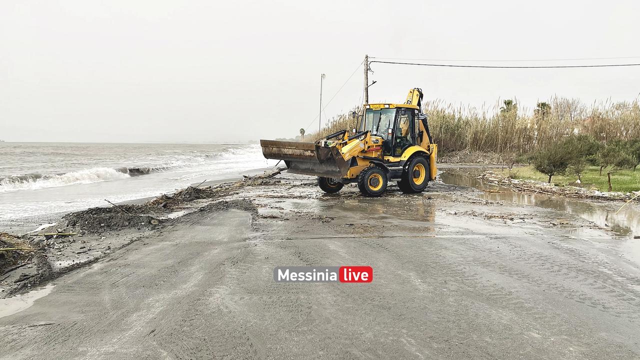 KORDIASIMG-2895