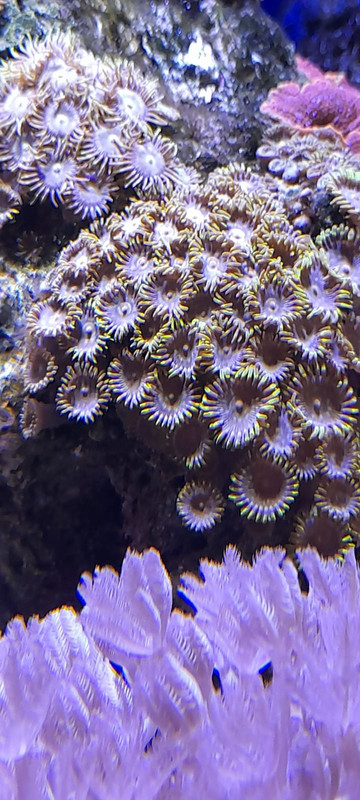 изображение_viber_2021-01-24_13-31-09