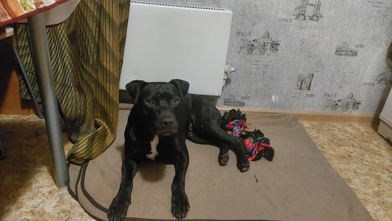 E38D918A-5E80-4799-90D3-751FF7D1B0F4