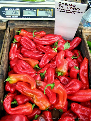 [Image: corno-di-toro-peppers-copyright-2008-nathan-lau.jpg]