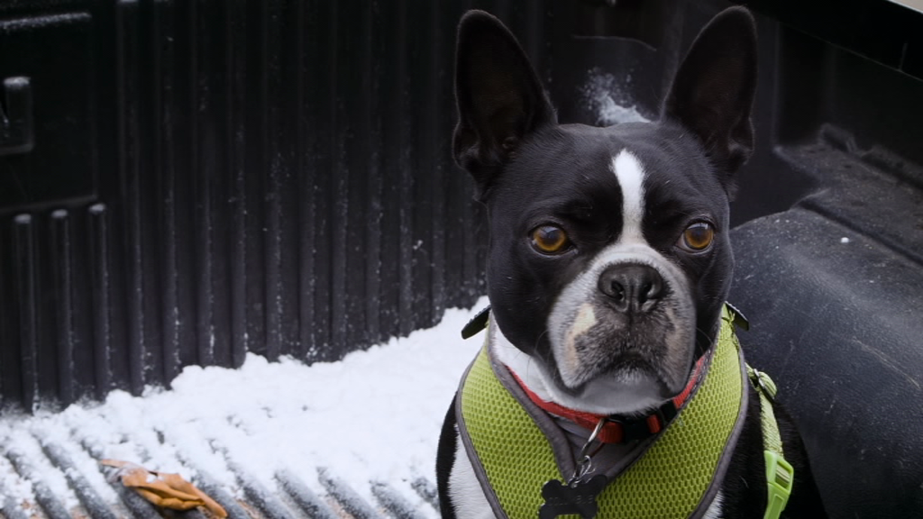 vlcsnap-2018-12-23-20h17m37s466