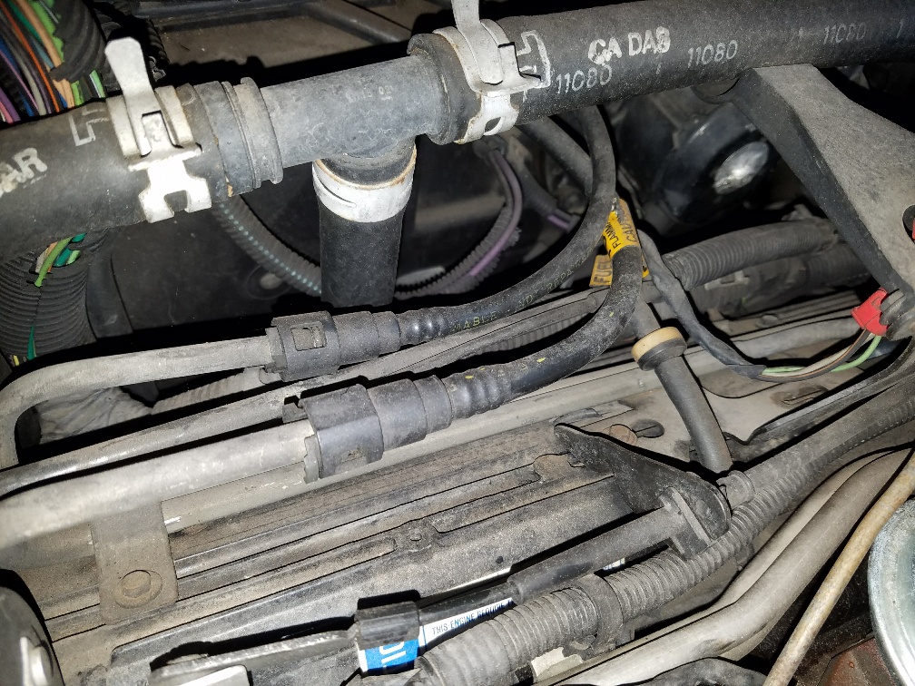 20180511_195854_resized