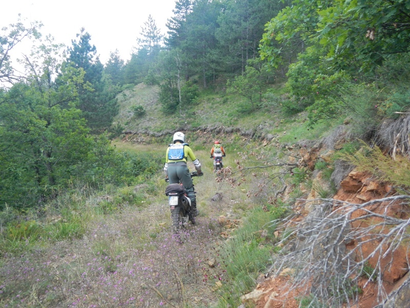 Zlatibor juli 2013 (63)