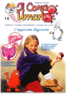 Esplorando il corpo umano N. 14 - L'apparato digerente