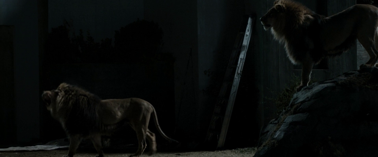 vlcsnap-2024-01-26-10h25m49s696