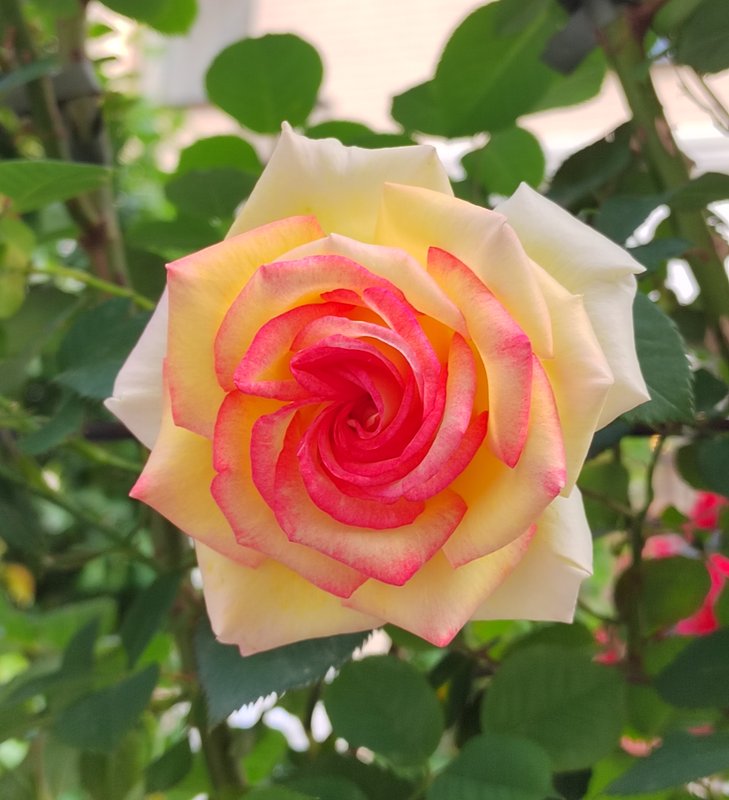 https://i.postimg.cc/5tZkRpnK/34-IMG-20250616-173823.jpg