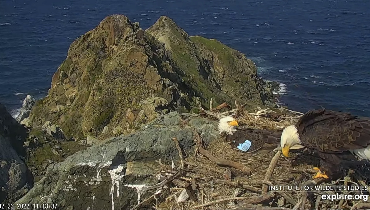 EC22C824-1FF5-4158-8A0D-1E134289BB1B