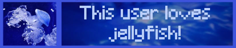 this user loves jellyfish