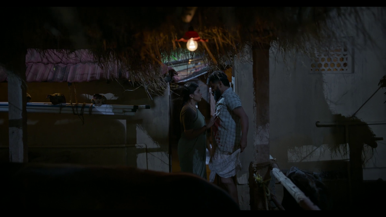 vlcsnap-2025-04-24-21h21m21s856