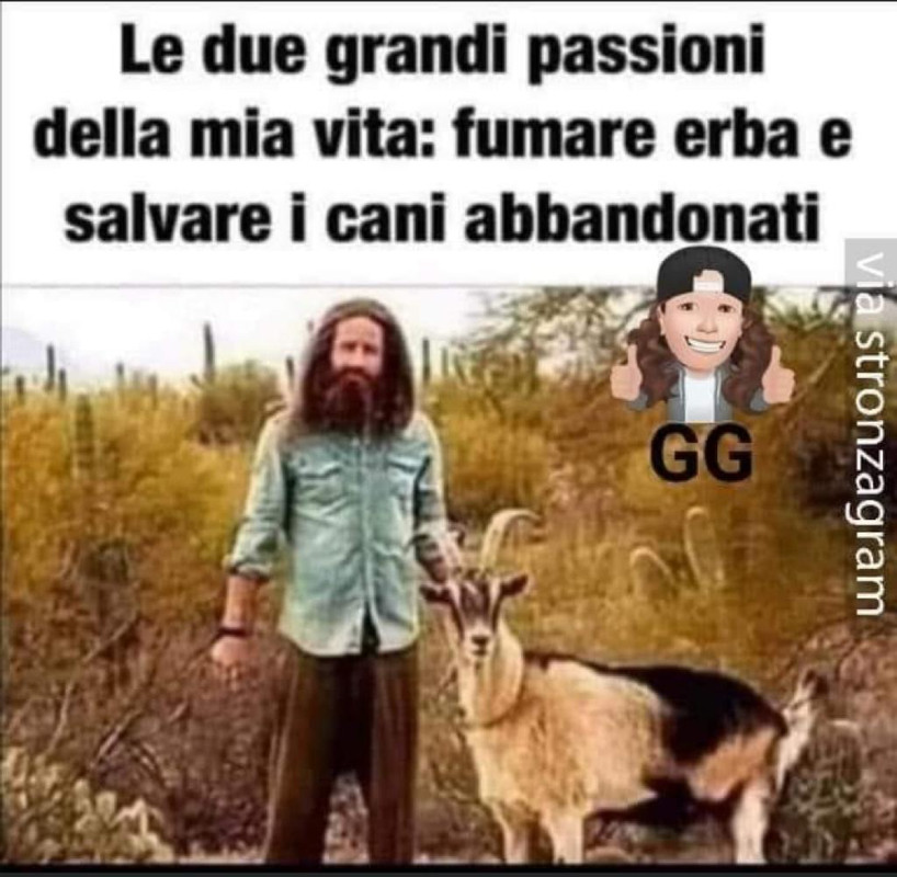Immagine