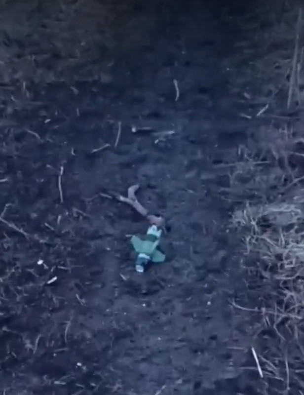 Screenshot_2024-03-19-23-04-27-410_com.twitter.android-edit