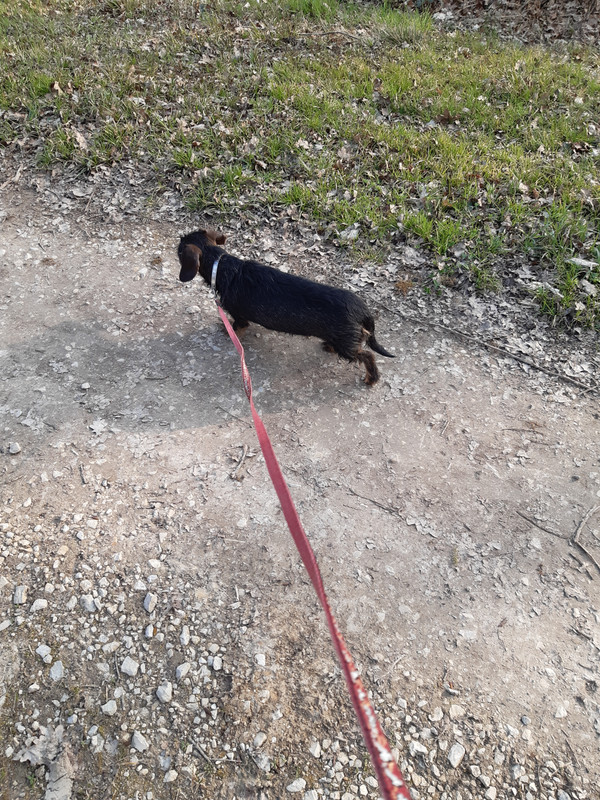 [Image: 20230303-160358.jpg]