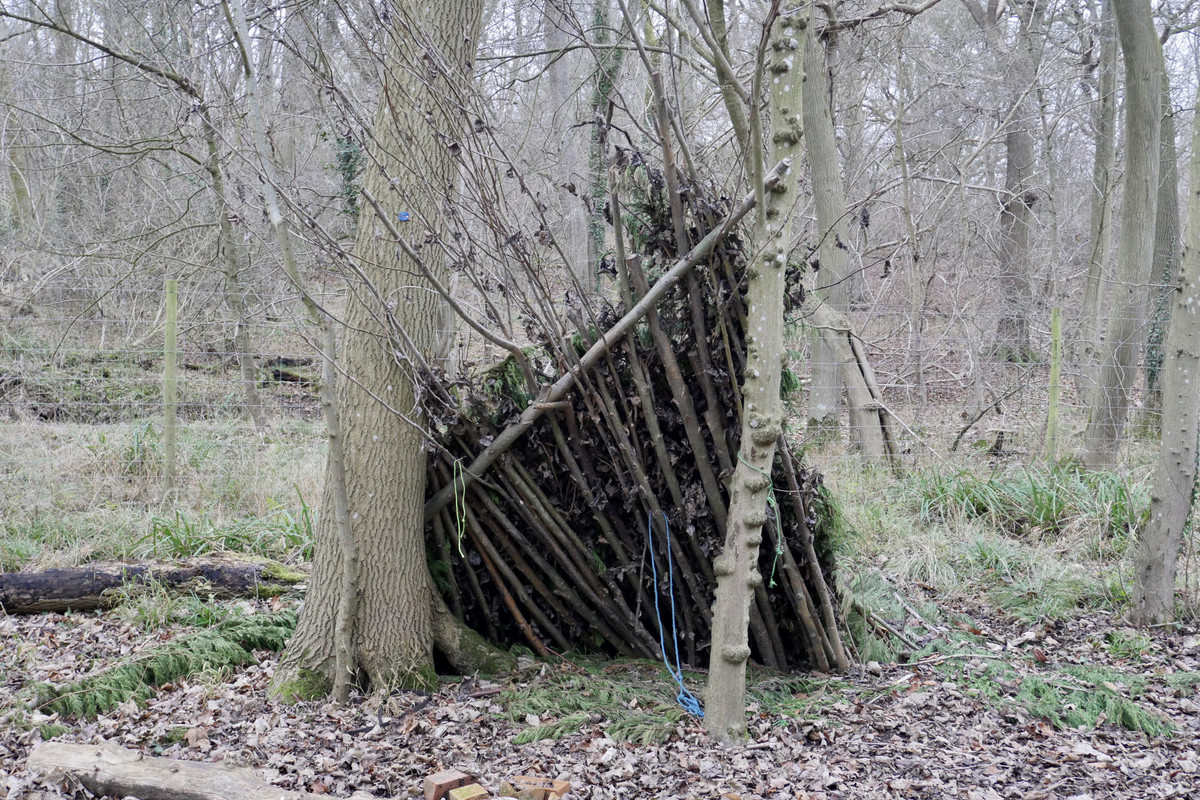 B0B0632A-2A51-4954-9363-05E92F8B604F