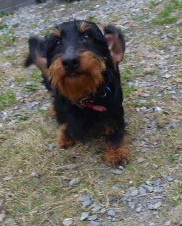 [Image: P1060108.jpg]