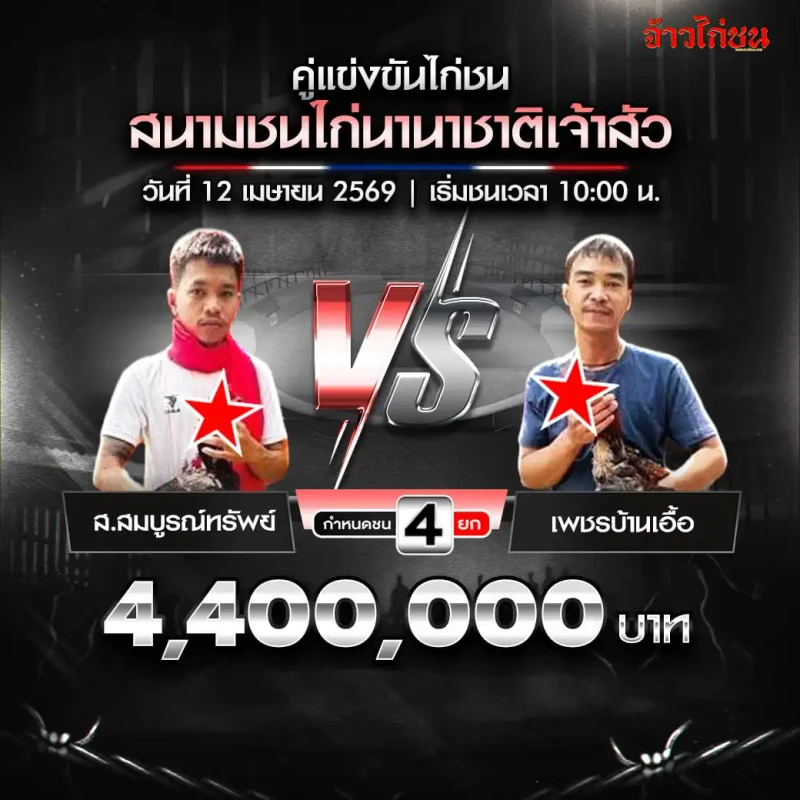 โปรแกรมไก่ชน สนามนานาชาติเจ้าสัว 12 เมษายน 2569 ส.สมบูรณ์ทรัพย์ vs เพชรบ้านเอื้อ