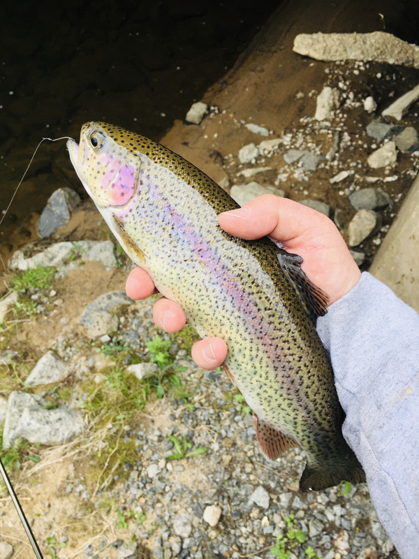 68157C7C-4C7E-49E8-BDB3-C8960AEE225C