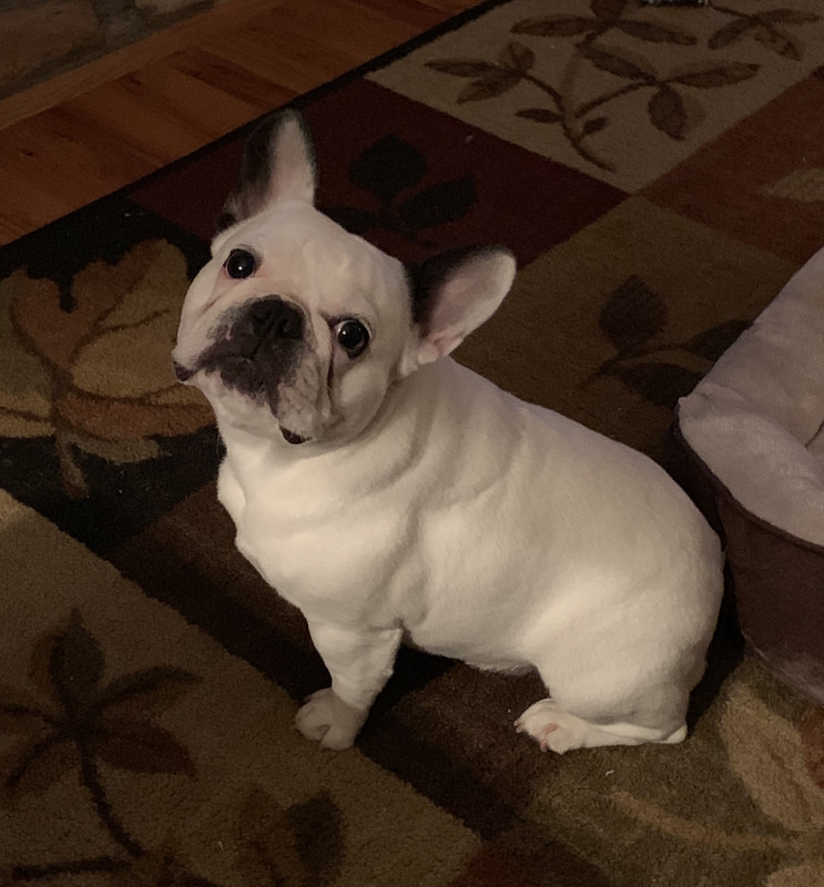 9753ED1E-F711-46A5-A6BF-6C3A1191220A