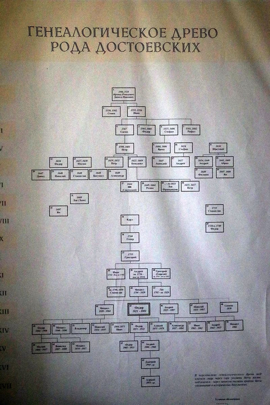 https://i.postimg.cc/5tchJZJW/IMG-6482.jpg
