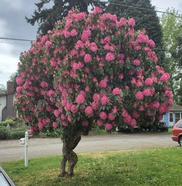Naturaleza-31
