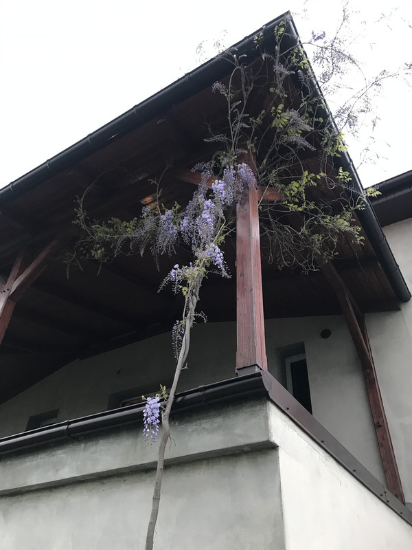 CD2-F5-EFF-6-C54-4-E9-F-BA91-6014-D898-A