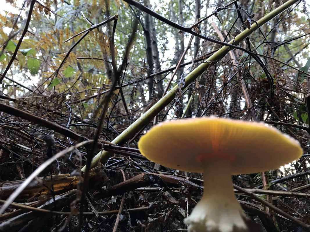 CB99E330-AFF5-41D5-9B50-EB83FC99BBBD