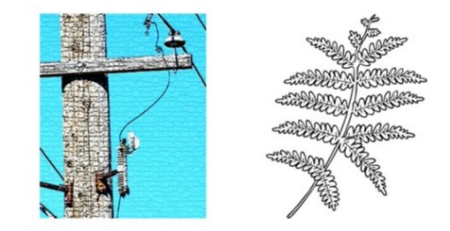 Distribution Power Engineering Fundamentals