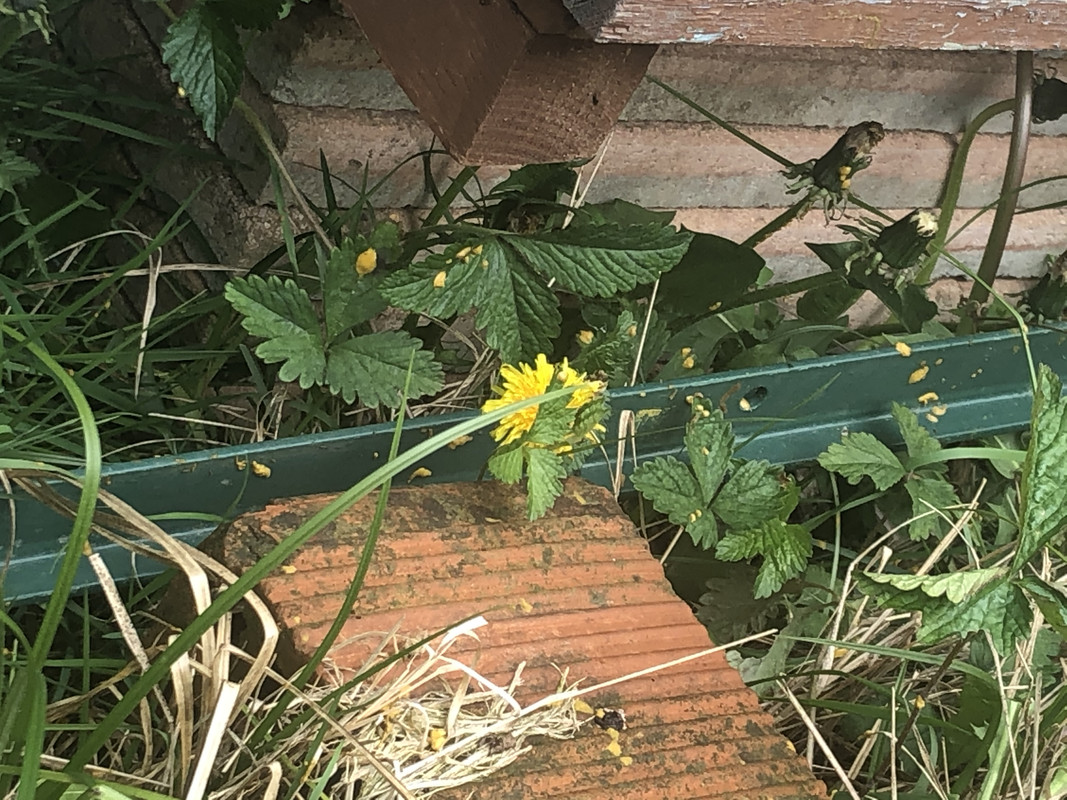 D213148A-58A4-4CE8-8B6E-808D39089668