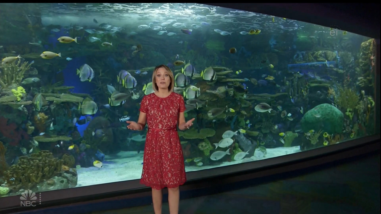 11.07 - 15.00.00 - Earth Odyssey With Dylan Dreyer. The world's smart....ts_snapshot_01.05.17.862