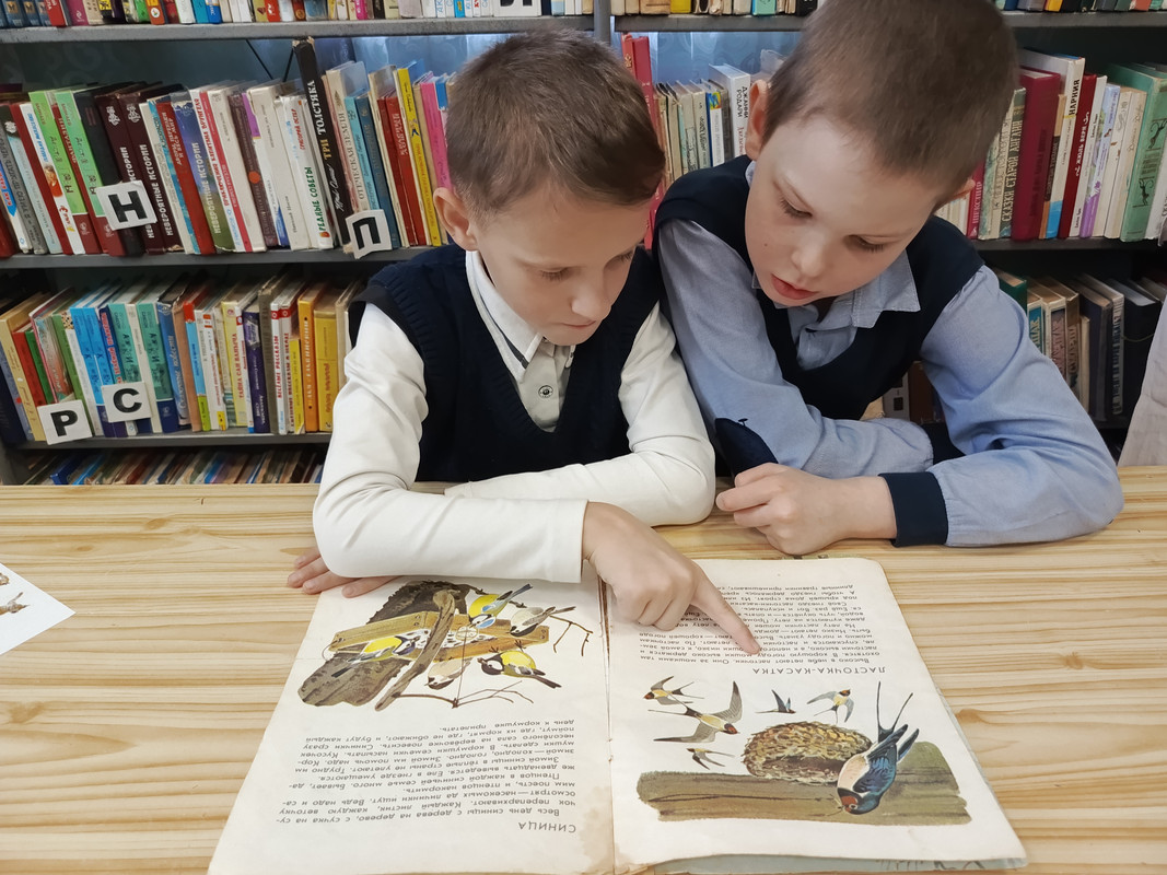 IMG_20240301_125727_606