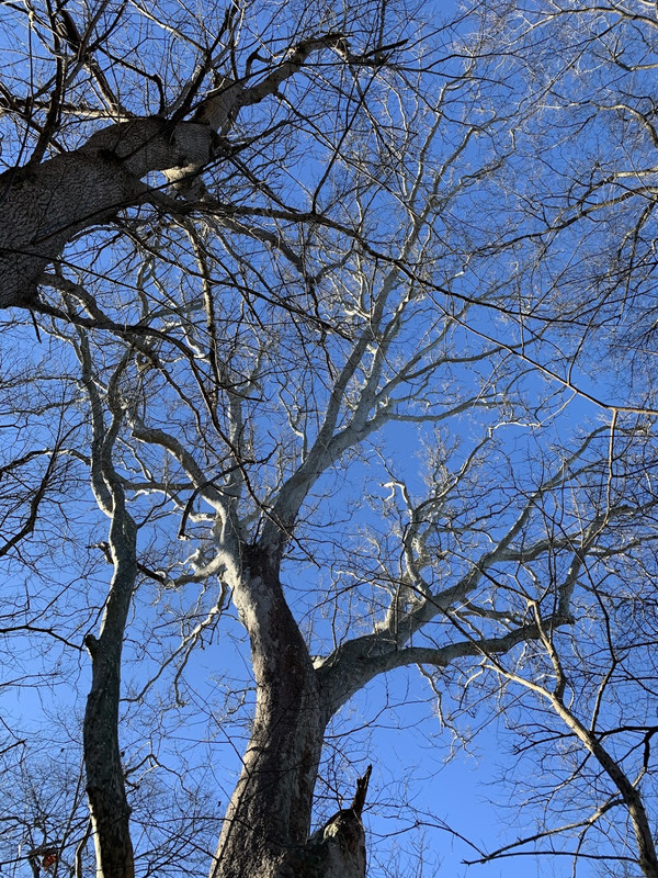 B685F621-7C98-4BEE-A865-1E4D3CDF7704