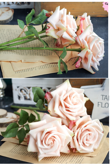 Французские розы (tanyaflower)