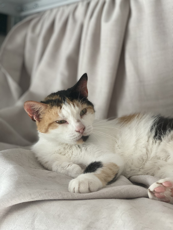 7C3F94DB-0A0F-431A-A0F8-EC8D31FCFD70