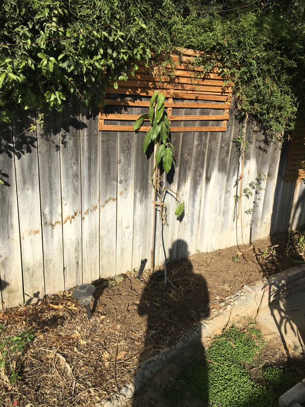 8B9267AB-4BCD-4AB7-A911-A0C53CDCF139