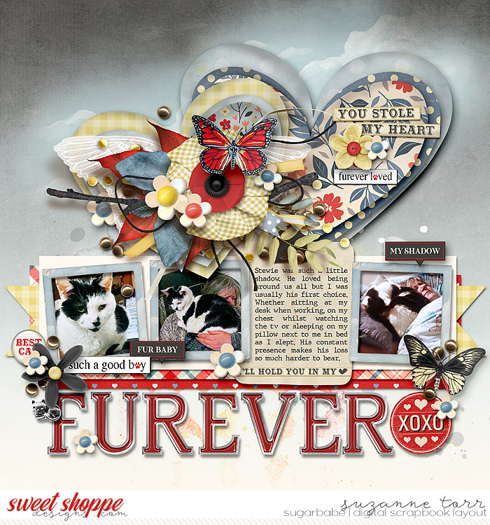 Suz-Furever-Loved-700WM.jpg