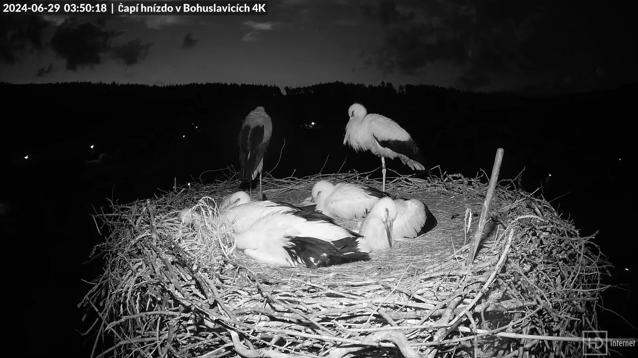 Tiešraidē no uzņēmuma KARA stārķa skursteņa Bohuslavicē pie Trutnovas 8-22-57 screenshot