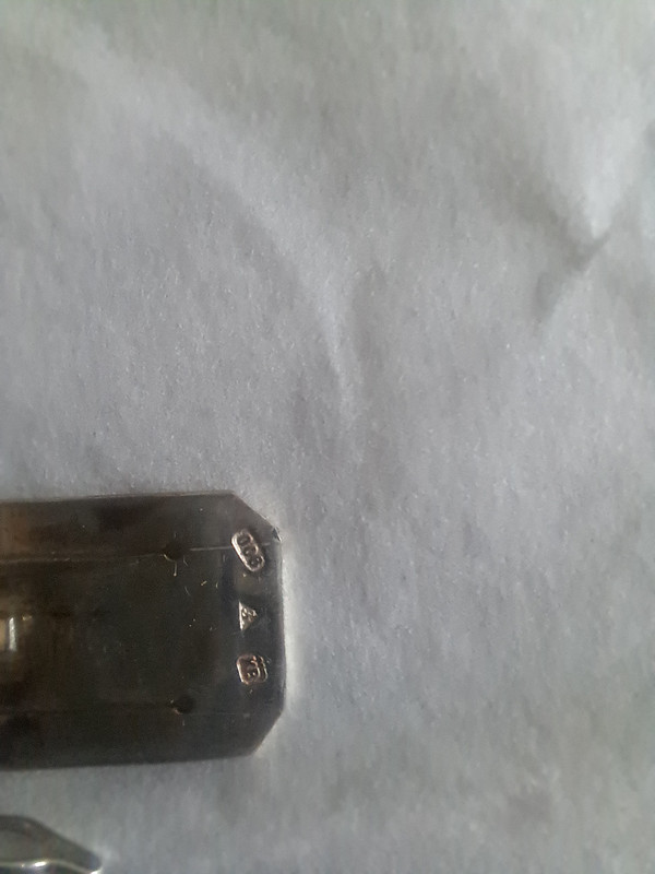 20250201-101210.jpg