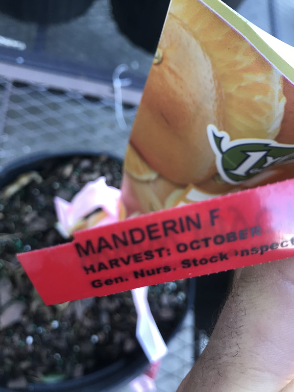 E97CAAE2-6F5C-4B22-8521-1E3ABB9C8E65