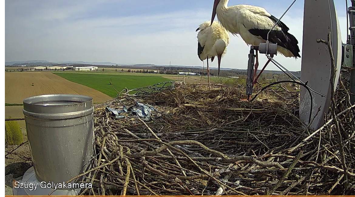 2022-04-30_100726ott az első tojás