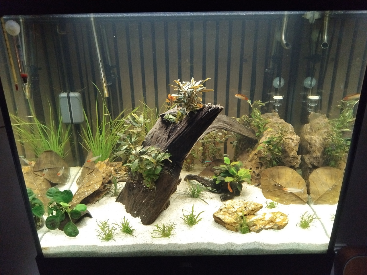 17690341254994991911758546348040