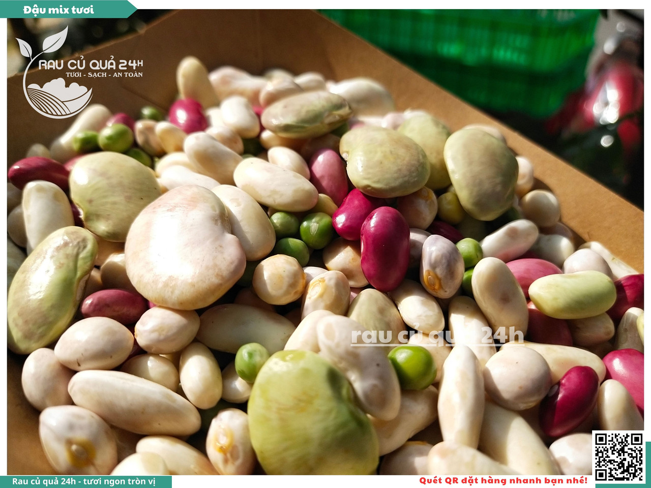 Đậu Mix Tươi 11