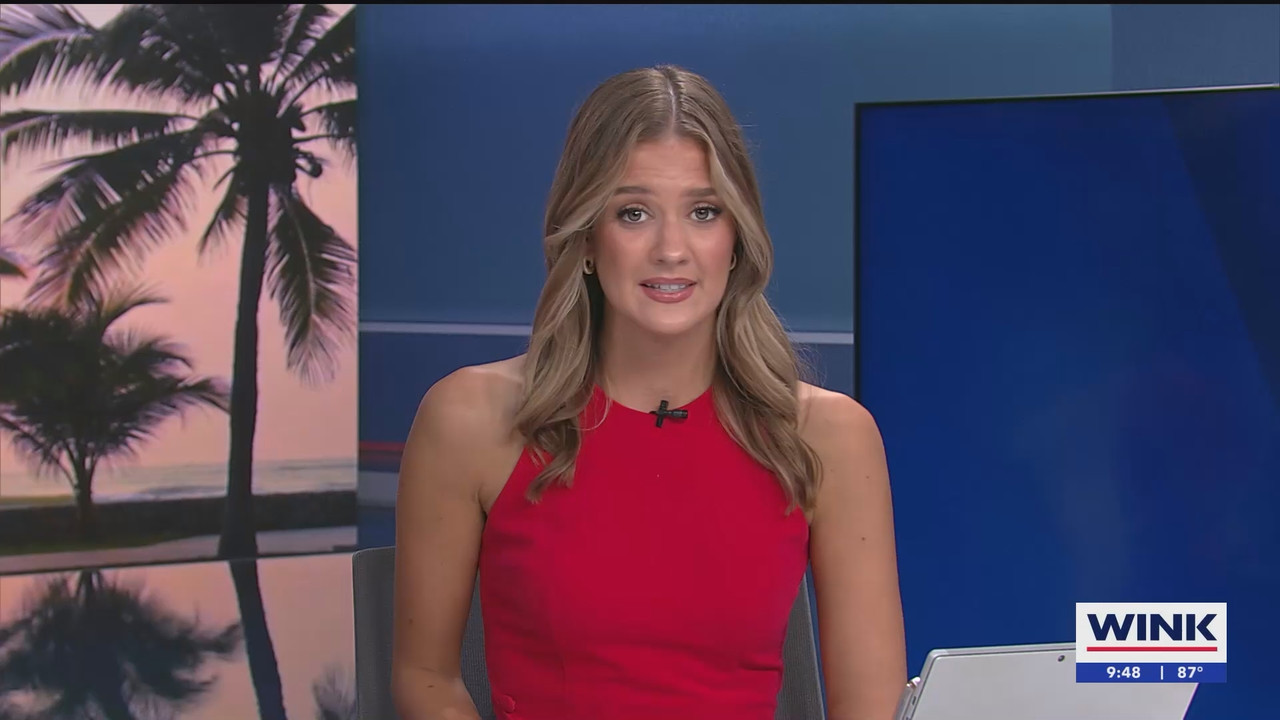 08.10 - 14.00.00 - WINK News at 9 00AM  ᴺᵉʷ. Morning news.ts_snapshot_49.32.402