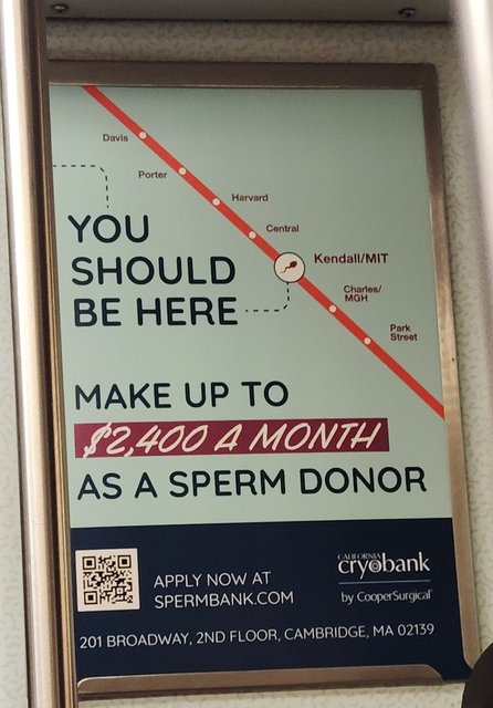 Boston y Chicago - Blogs de USA - Salem, el pueblo de las Brujas. (53)