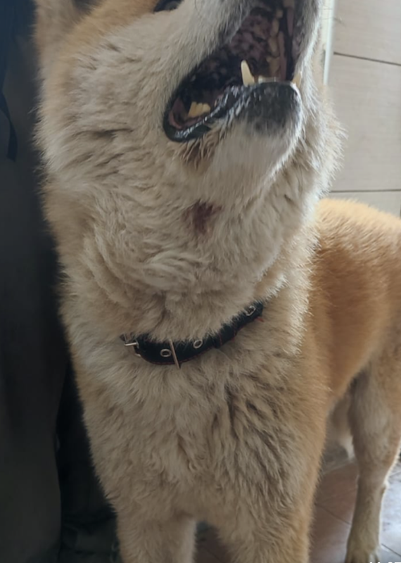 Снимок экрана 2024-06-04 в 21.56.43