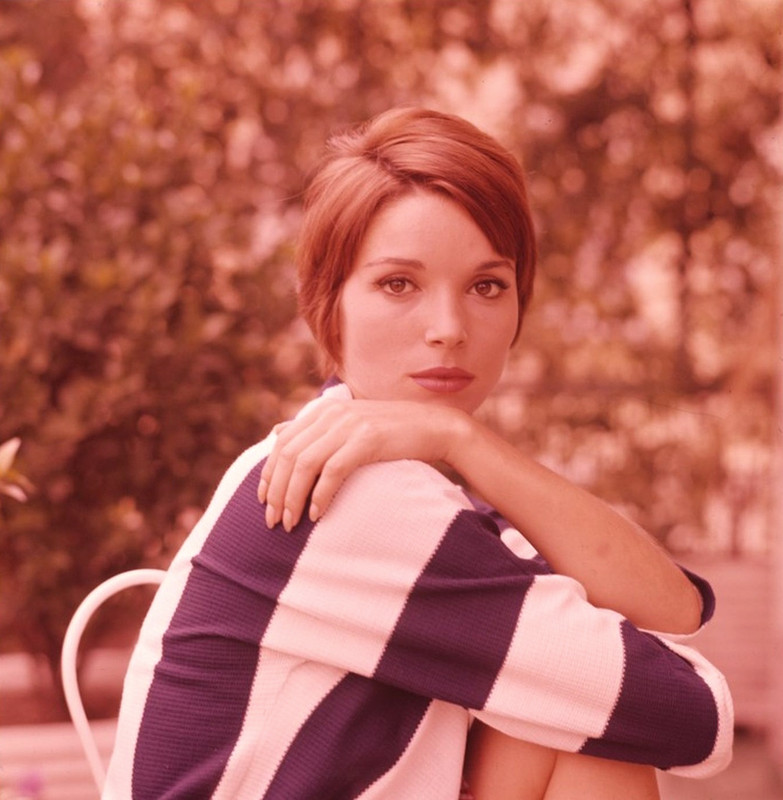elsa_martinelli_d90