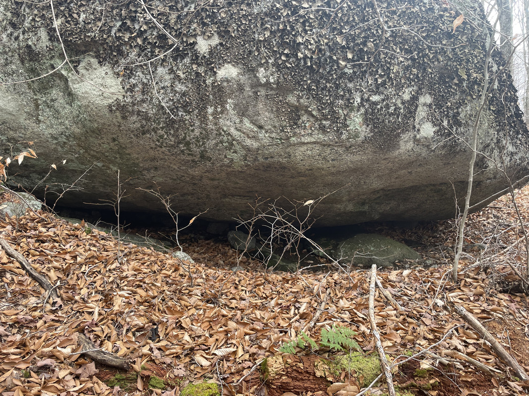 75852A03-2D19-4C5A-B95D-4FF6AFB0B702