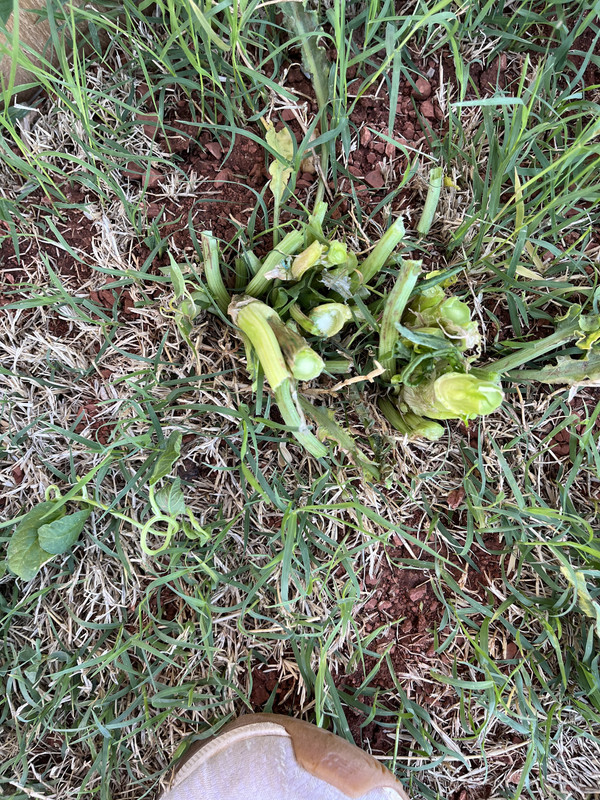 1D6BD304-2CC8-49FB-A1F2-4A3B2F3C85E1