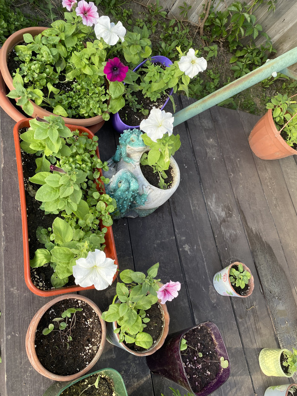 0DE25E12-12CE-4177-A428-23665D293849