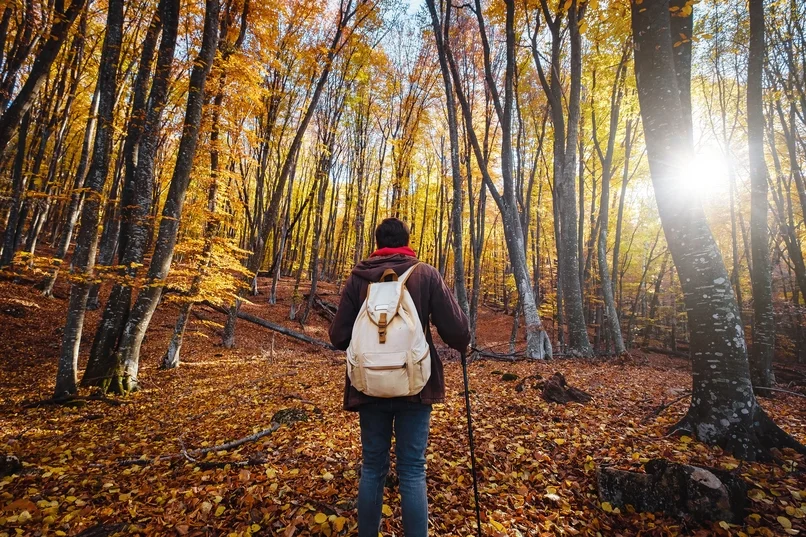 man wearing backpack standing on autumn forest trail, hiking alone