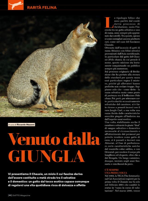 Ga Ma Ott-Nov 2024 (3)