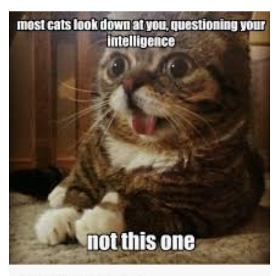 6EE1280E-BAA8-4126-BC66-47F70636EAC1